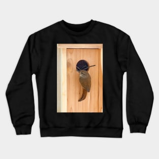 Wren Crewneck Sweatshirt